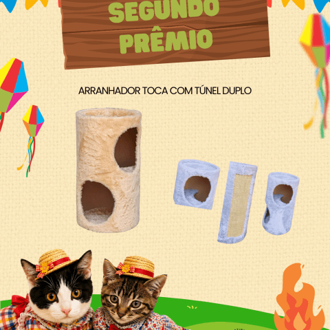 Arranhador toca com túnel duplo