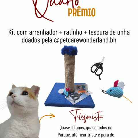 Kit para gatos doado pela @petcarewonderland.bh