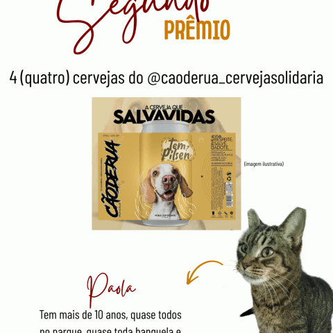 Cervejas do @caoderua_cervejasolidaria