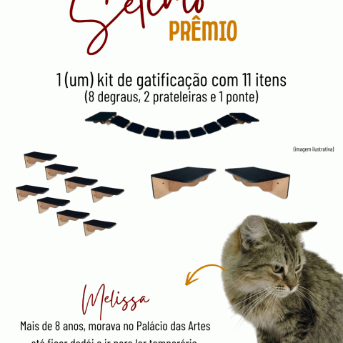 Kit de gatificação com 11 itens