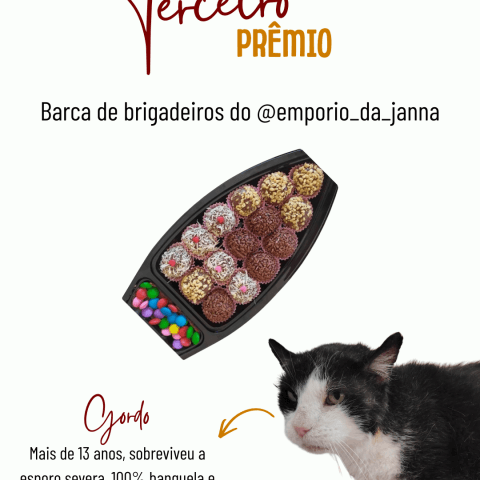 Brigadeiros do @emporio_da_janna